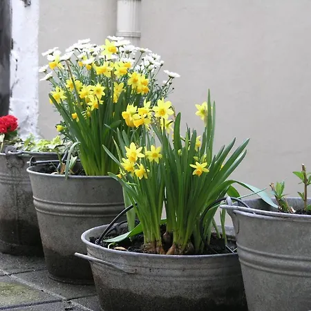 Singel 100 Nocleg ze śniadaniem Amsterdam