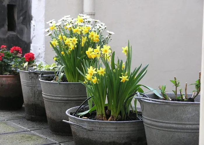 Singel 100 Oda ve Kahvaltı Amsterdam