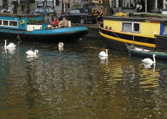 Singel 100 Oda ve Kahvaltı 3*